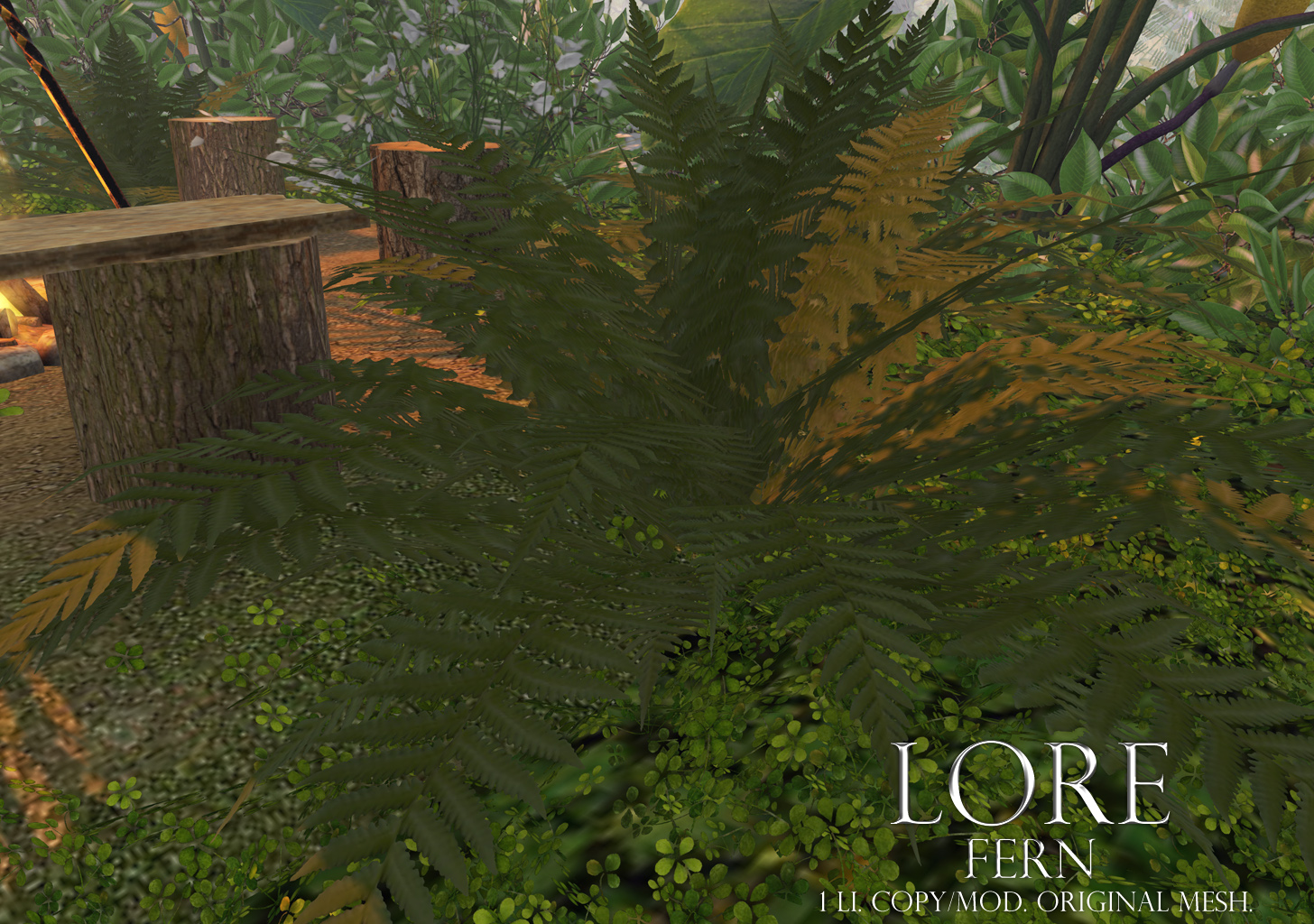 Fern Ad